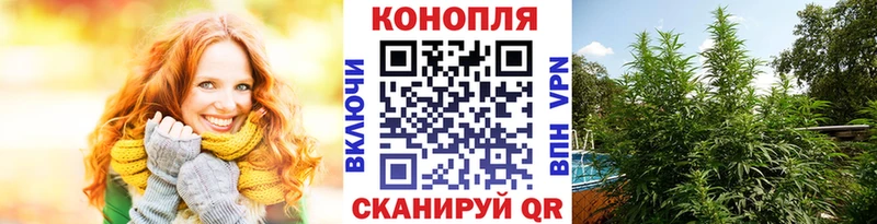 наркошоп  MEGA tor  Бошки марихуана индика  Монино 